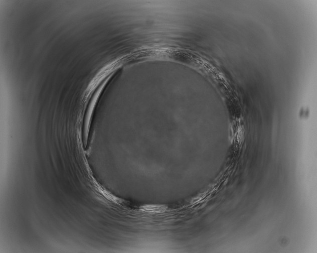X0000098150051200804171623
