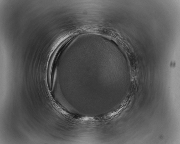 X0000098150052200804171623