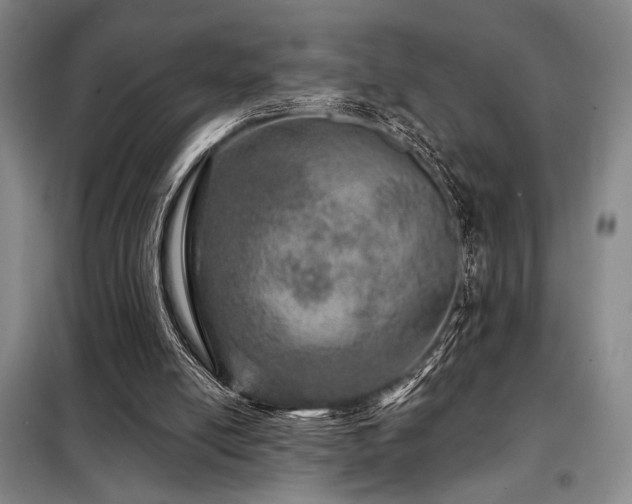 X0000098150054200804171623