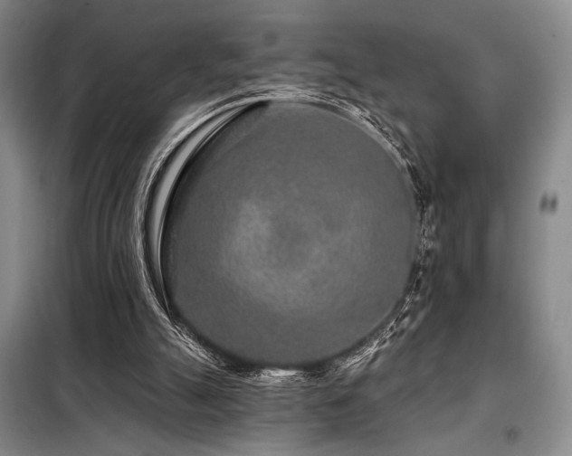 X0000098150055200804171623