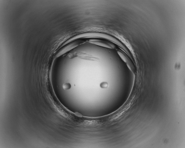 X0000098150057200804171623