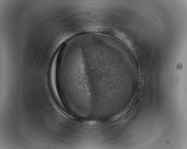 X0000098150058200804171623