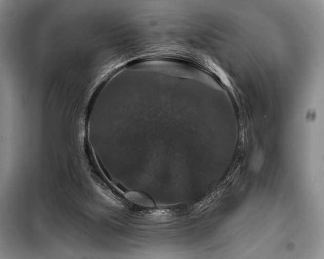 X0000098150059200804171623