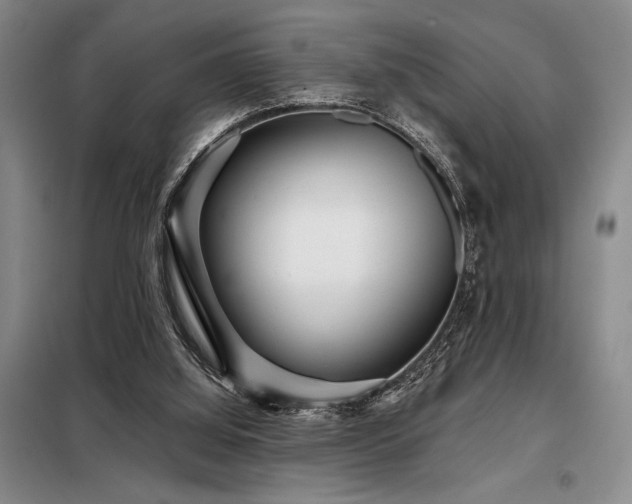 X0000098150060200804171623