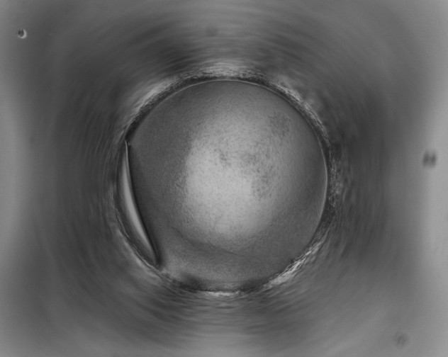 X0000098150062200804171623