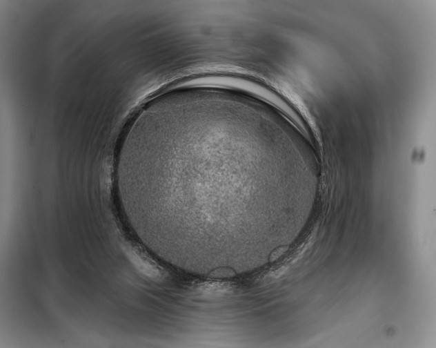 X0000098150063200804171623