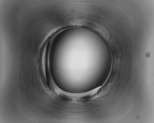 X0000098150064200804171623