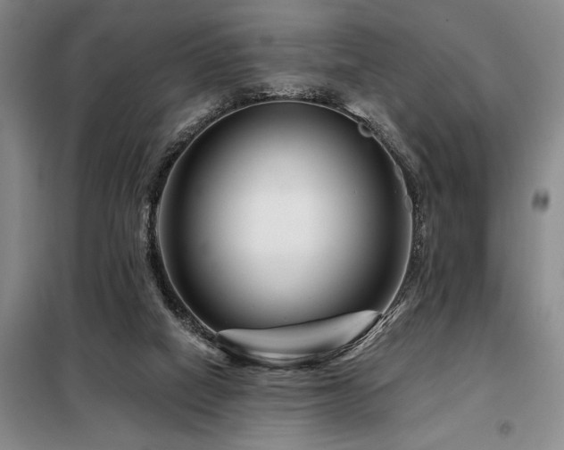 X0000098150066200804171623