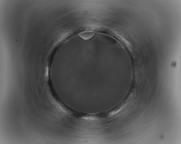 X0000098150067200804171623