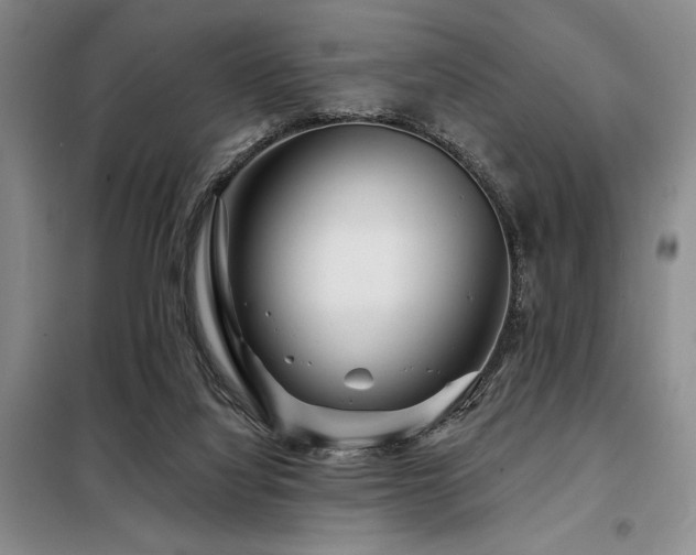 X0000098150068200804171623
