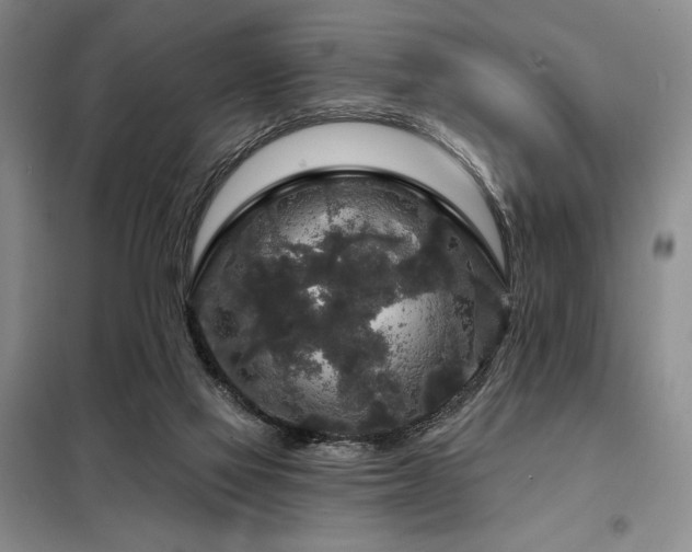 X0000098150069200804171623