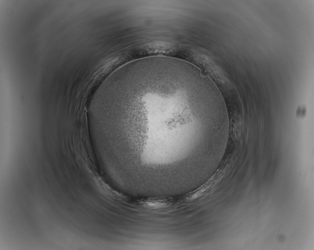 X0000098150070200804171623