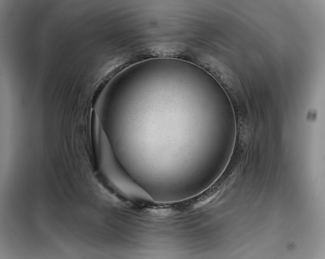 X0000098150071200804171623