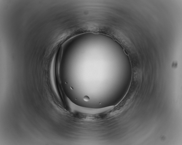 X0000098150072200804171623