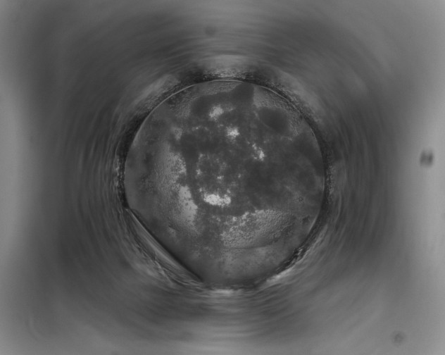 X0000098150073200804171623