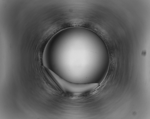 X0000098150074200804171623