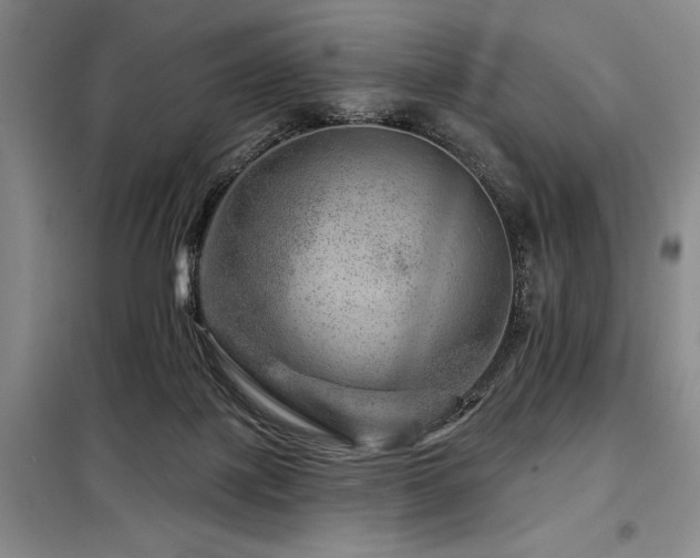 X0000098150075200804171623