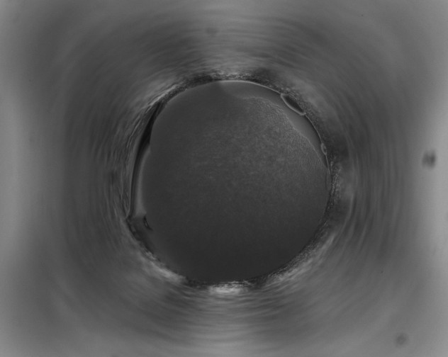 X0000098150076200804171623