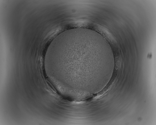 X0000098150077200804171623