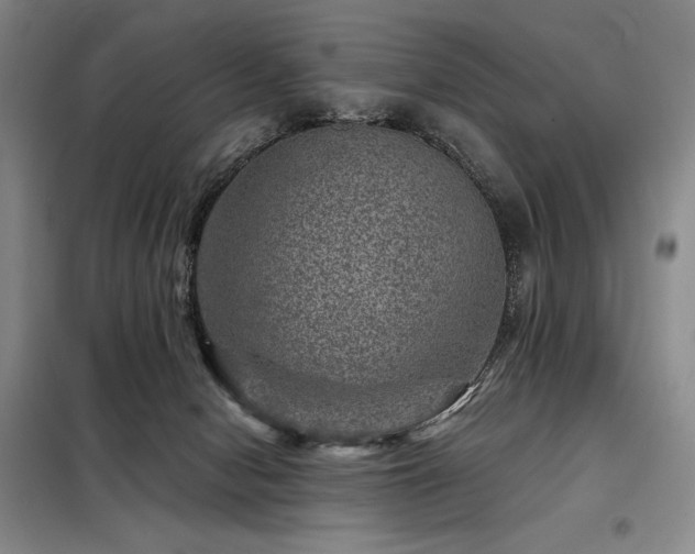 X0000098150078200804171623