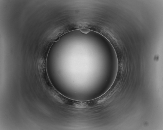 X0000098150079200804171623