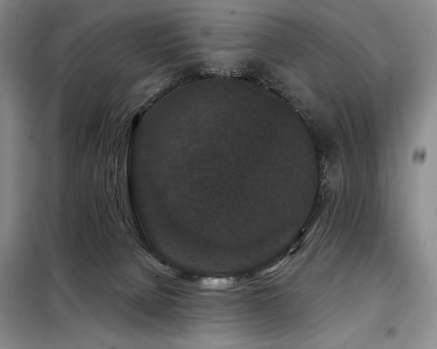 X0000098150080200804171623