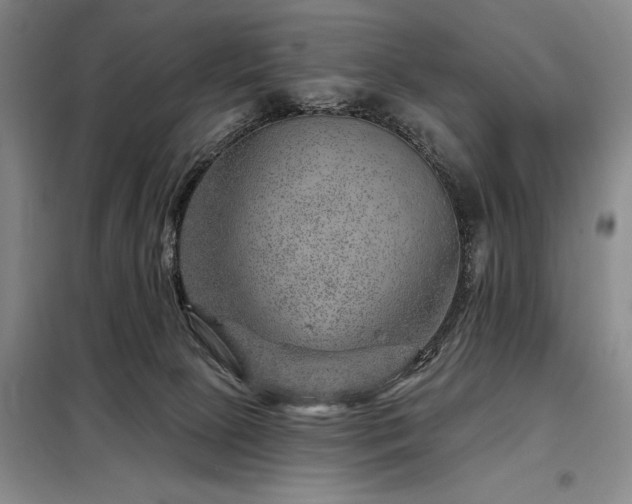 X0000098150081200804171623