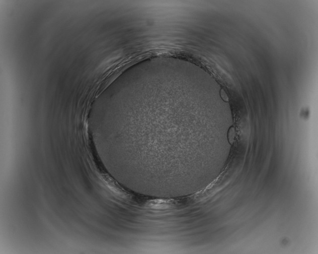X0000098150082200804171623