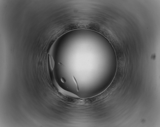 X0000098150083200804171623