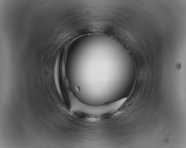 X0000098150084200804171623