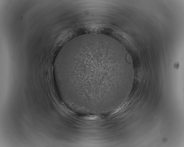 X0000098150086200804171623