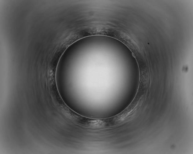 X0000098150087200804171623
