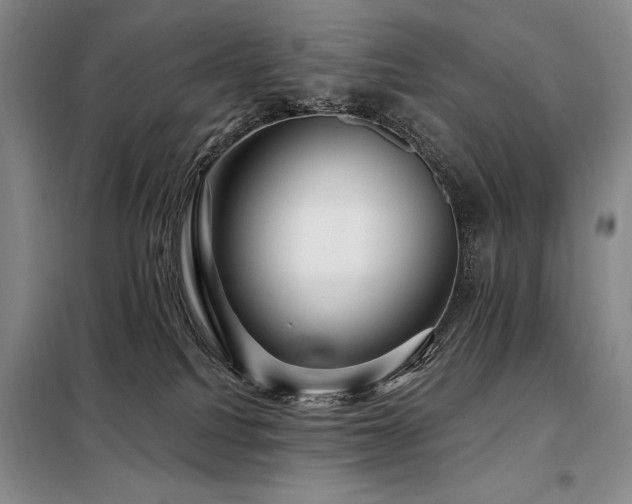 X0000098150088200804171623
