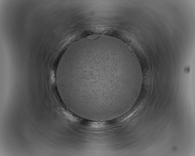X0000098150089200804171623
