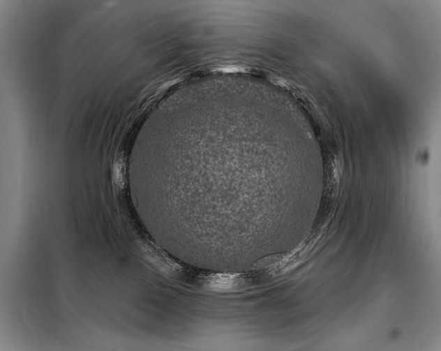 X0000098150090200804171623