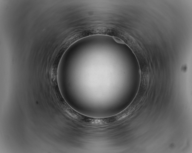 X0000098150091200804171623