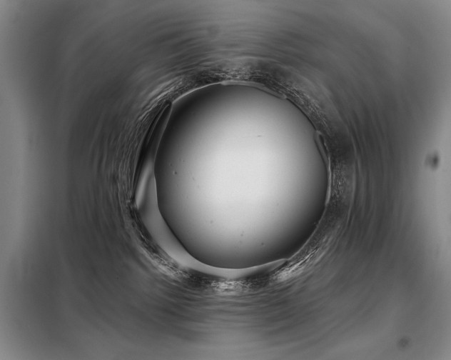 X0000098150092200804171623