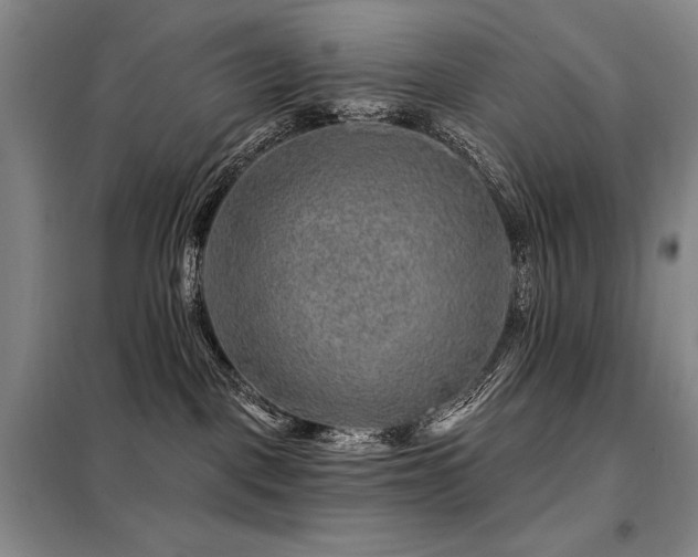 X0000098150093200804171623