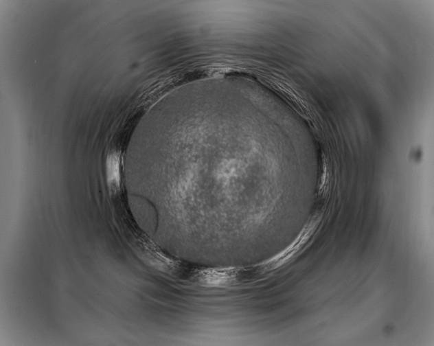 X0000098150094200804171623