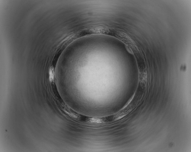 X0000098150095200804171623
