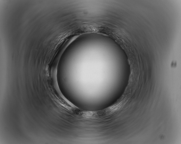 X0000098150096200804171623