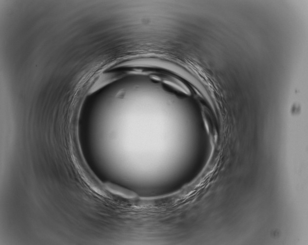 X0000098150097200804171623