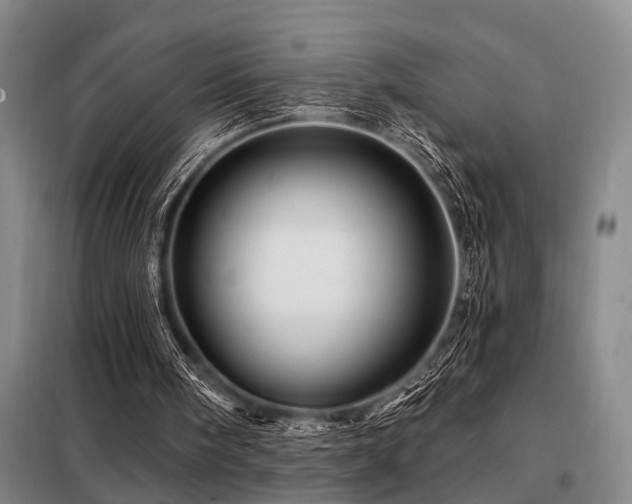 X0000098150098200804171622