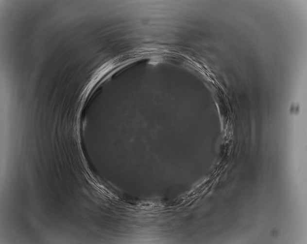 X0000098150099200804171622