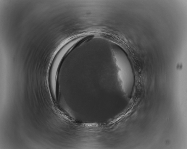 X0000098150100200804171622