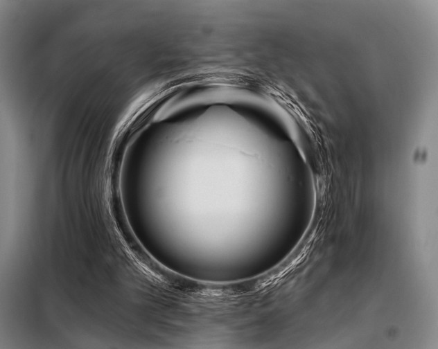 X0000098150101200804171622