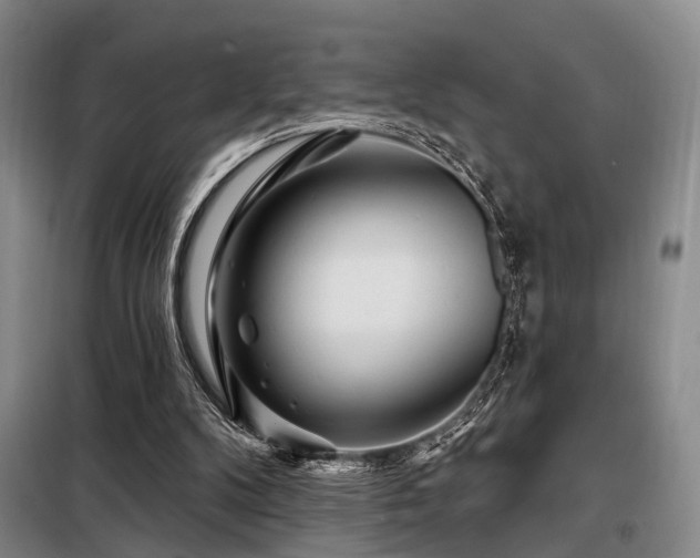 X0000098150104200804171622