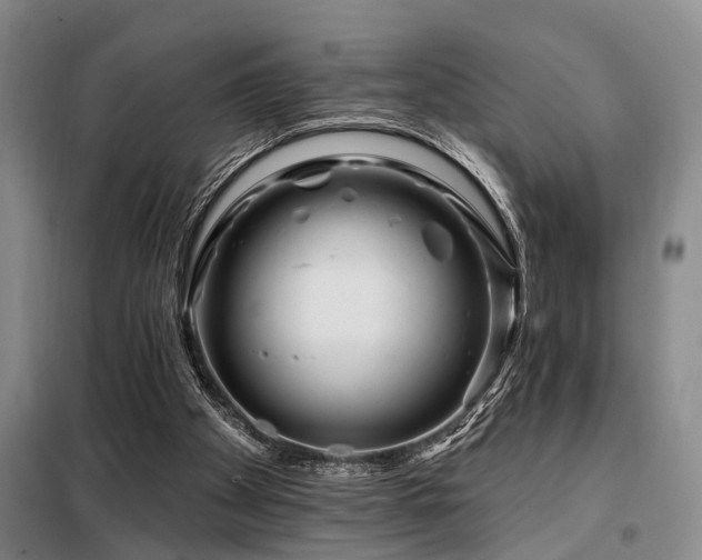 X0000098150105200804171622