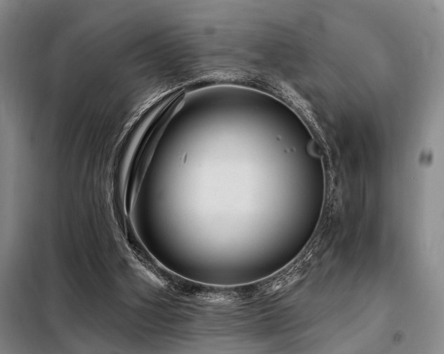 X0000098150106200804171622