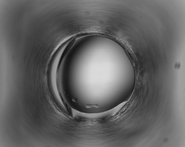 X0000098150108200804171622